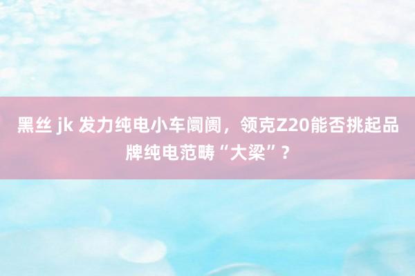 黑丝 jk 发力纯电小车阛阓，领克Z20能否挑起品牌纯电范畴“大梁”？