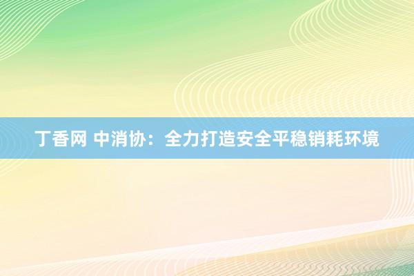 丁香网 中消协：全力打造安全平稳销耗环境