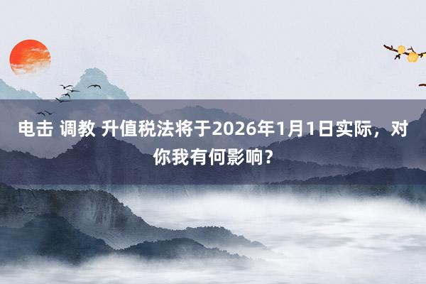 电击 调教 升值税法将于2026年1月1日实际，对你我有何影响？