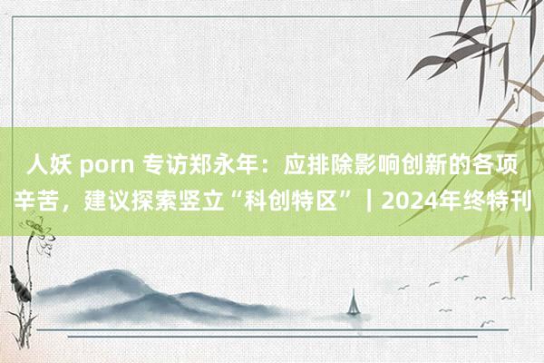 人妖 porn 专访郑永年：应排除影响创新的各项辛苦，建议探索竖立“科创特区”｜2024年终特刊