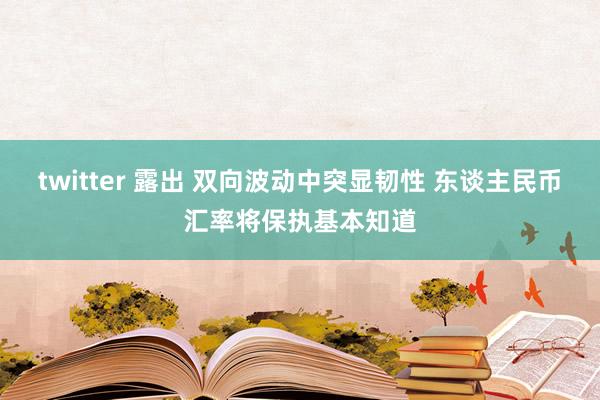 twitter 露出 双向波动中突显韧性 东谈主民币汇率将保执基本知道