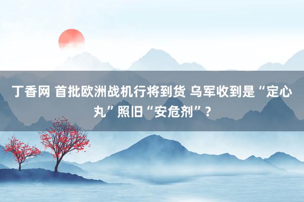 丁香网 首批欧洲战机行将到货 乌军收到是“定心丸”照旧“安危剂”？