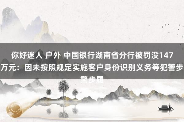 你好迷人 户外 中国银行湖南省分行被罚没147.8万元：因未按照规定实施客户身份识别义务等犯警步履