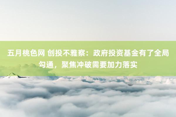 五月桃色网 创投不雅察：政府投资基金有了全局勾通，聚焦冲破需要加力落实