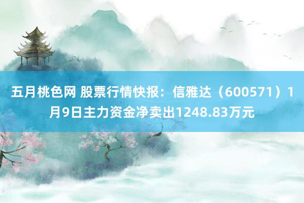 五月桃色网 股票行情快报：信雅达（600571）1月9日主力资金净卖出1248.83万元