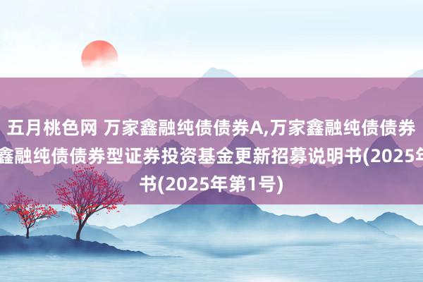 五月桃色网 万家鑫融纯债债券A，万家鑫融纯债债券C: 万家鑫融纯债债券型证券投资基金更新招募说明书(2025年第1号)