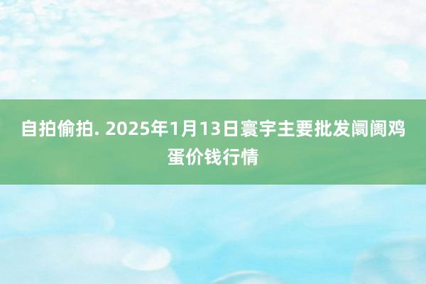 自拍偷拍. 2025年1月13日寰宇主要批发阛阓鸡蛋价钱行情