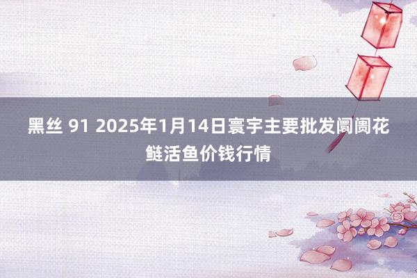 黑丝 91 2025年1月14日寰宇主要批发阛阓花鲢活鱼价钱行情